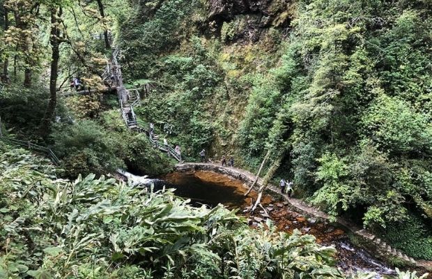 Trekking inside the forest